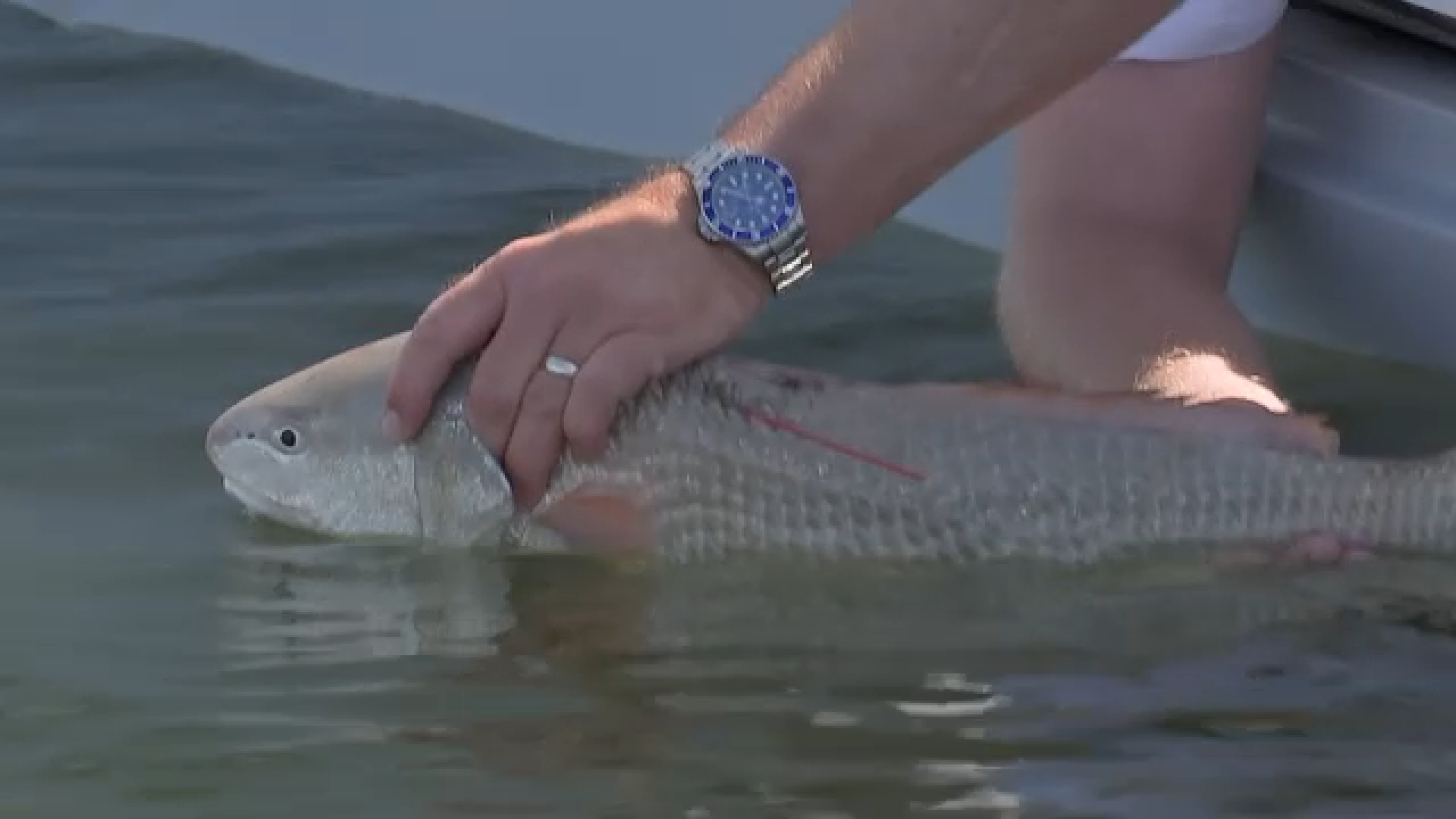 CCA Texas STAR fishing tournament going strong with still plenty to win