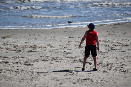 Galveston officials remined beachgoers to stay safe ahead of Forth of July weekend